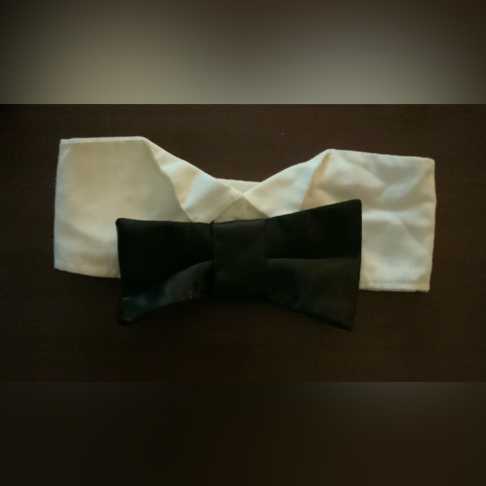 Dog tuxedo collar